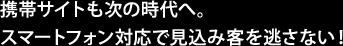 携帯サイトも次の時代へ。スマートフォン対応で見込み客を逃さない！